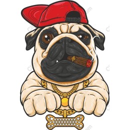 Stylish Pug with Cap and Cigar
