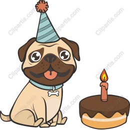 Festive Pug Birthday Celebration
