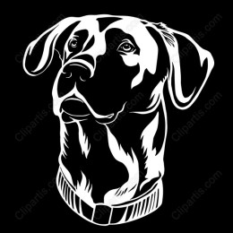 Noble Dog Portrait