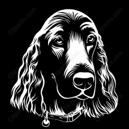 Elegant Spaniel
