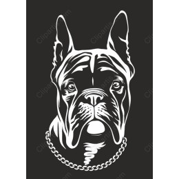 Premium French Bulldog