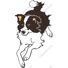 Energetic Dog