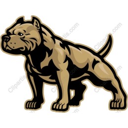 Muscular Dog