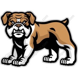 Fierce Bulldog