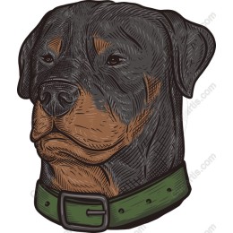 Vintage Rottweiler Head
