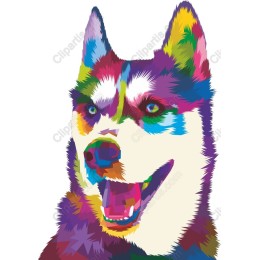 Colorful Husky