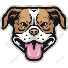 Happy Dog Face
