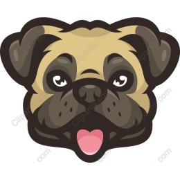 Adorable Pug