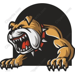 Fierce Bulldog