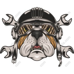 Fierce Bulldog Pilot