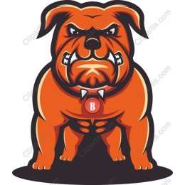 Fierce Bulldog