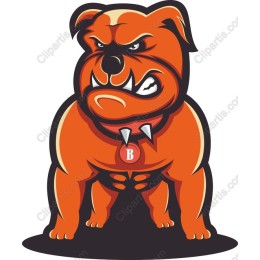 Fierce Bulldog