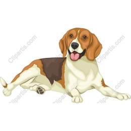 Charming Beagle