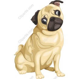 Charming Pug