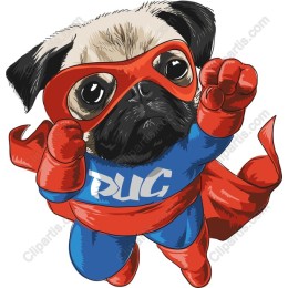 Superhero Pug