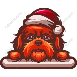 Festive Dog in Santa Hat