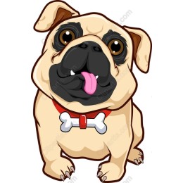 Adorable Pug