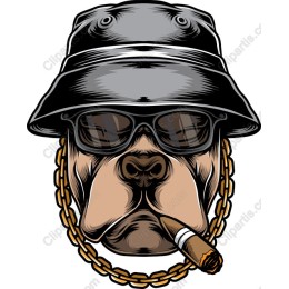 Gangsta Dog