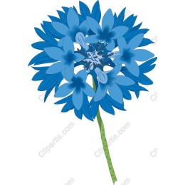 Vibrant Blue Blossom