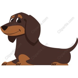 Adorable Dachshund