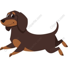 Dachshund Delight