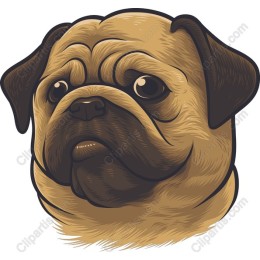 Pug Love
