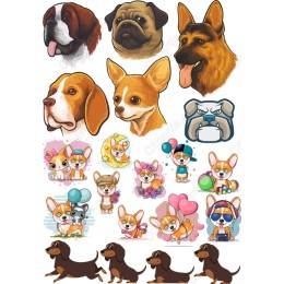 Paw-some Dog Set