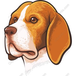 Charming Beagle