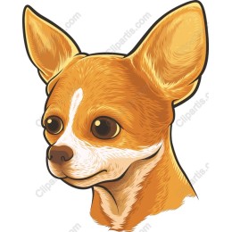 Charming Chihuahua