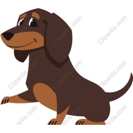 Charming Dachshund