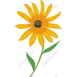 Vibrant Yellow Sunflower