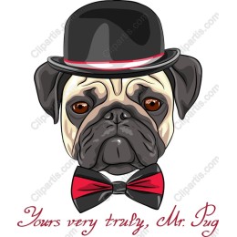 Yours Very Truly, Mr. Pug