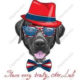 Mr. Lab - Playful Dog