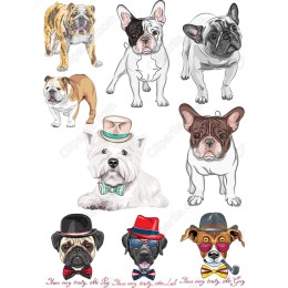 Charming Canine Clipart Collection - Stylish Dog ( Bundle)