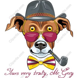 Mr. Grey - Charming Dog
