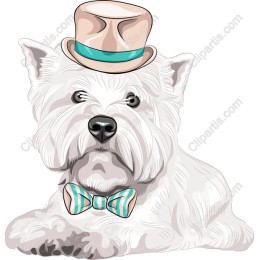 Dapper Dog