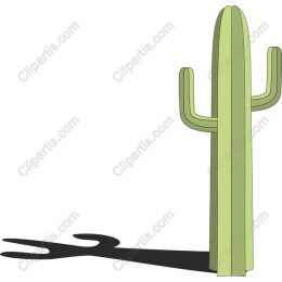 Tall Cactus