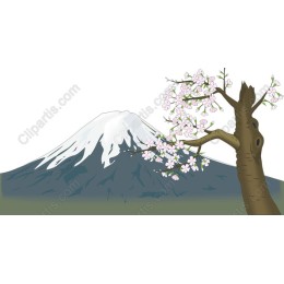 Cherry Blossom View with Mount Fuji