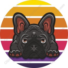 Charming French Bulldog Retro