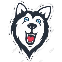 Joyful Husky Dog