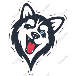 Playful Husky