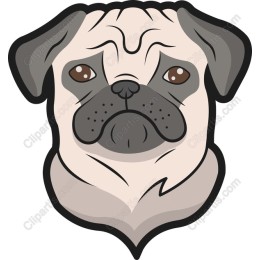 Charming Pug