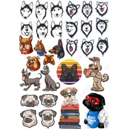 Dog Lovers Bundle