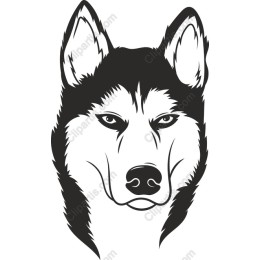 Majestic Wolf