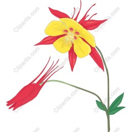 Vibrant Red and Yellow Floral