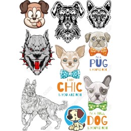 Dog Lover's Set
