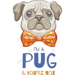 Charming Pug - I'M A PUG & YOU'RE NOT