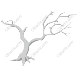 Bare Tree