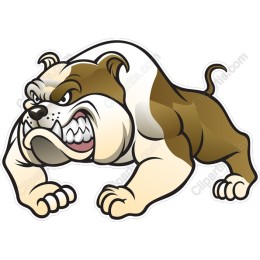 Fierce Bulldog
