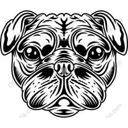 Pug Face